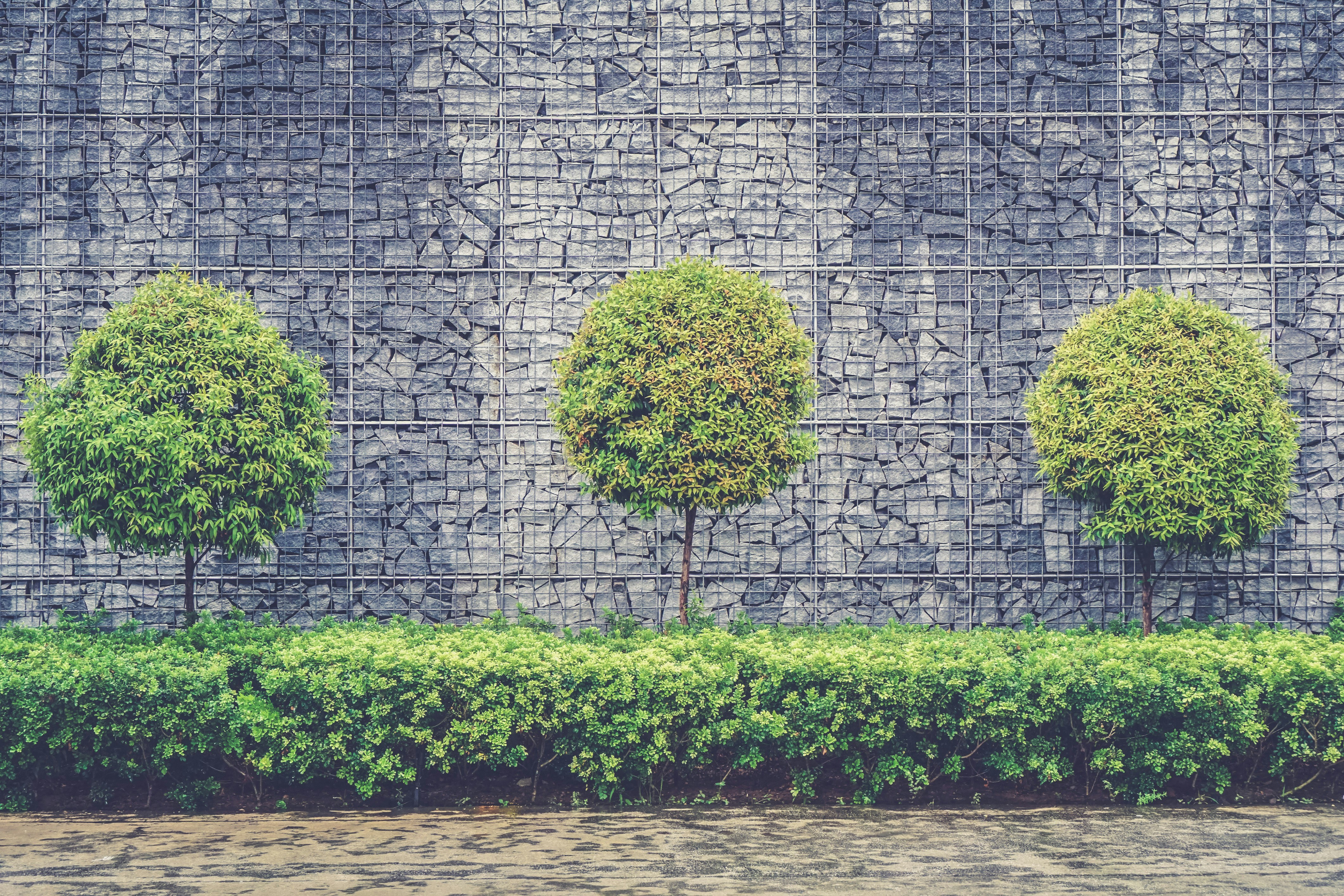Professional shrub trimming and pruning in Hartselle, AL